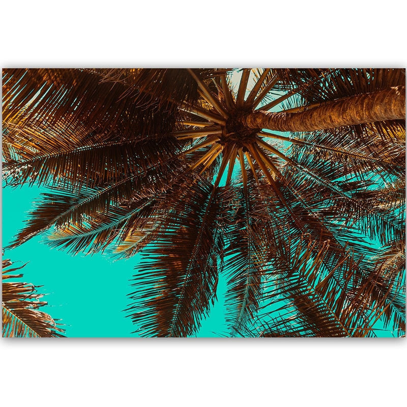 Dekoratīvais panelis - Palm Tree On A Turquoise Sky  Home Trends Deco