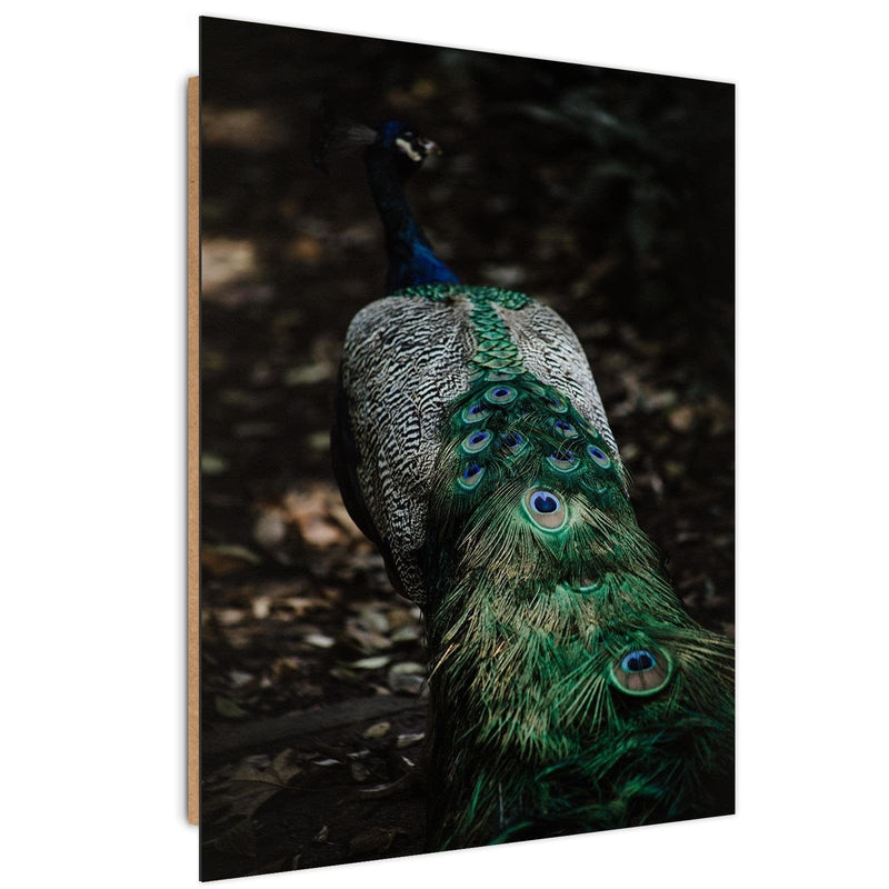 Dekoratīvais panelis - Peacock's Tail  Home Trends Deco