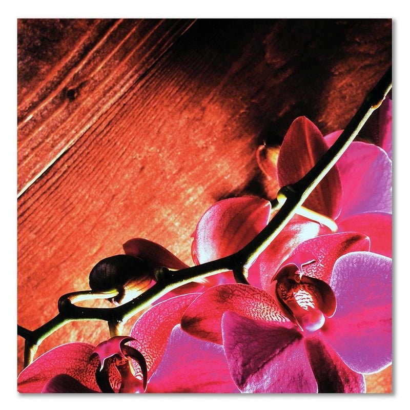 Dekoratīvais panelis - Pink orchids 1  30x30 Home Trends Deco