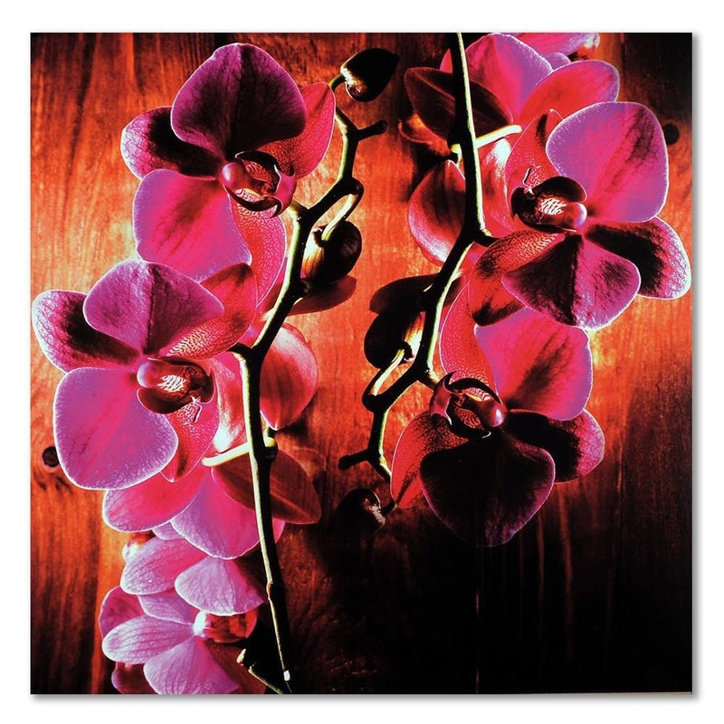 Dekoratīvais panelis - Pink orchids   30x30 Home Trends Deco