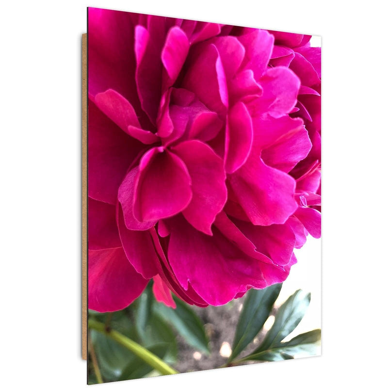 Dekoratīvais panelis - Pink Peony  Home Trends Deco