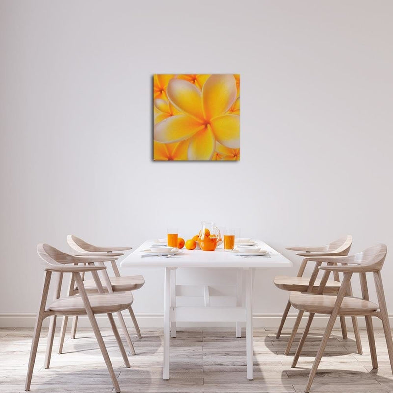 Dekoratīvais panelis - Plumery flower  30x30 Home Trends Deco