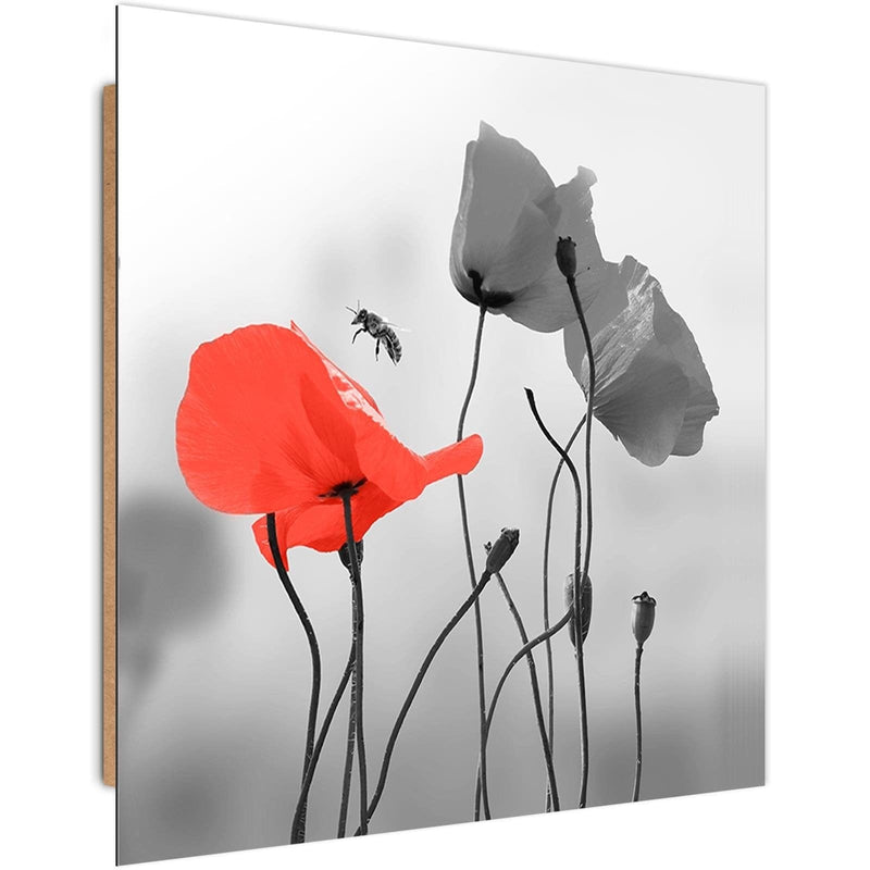 Dekoratīvais panelis - Poppies And Bee  Home Trends Deco