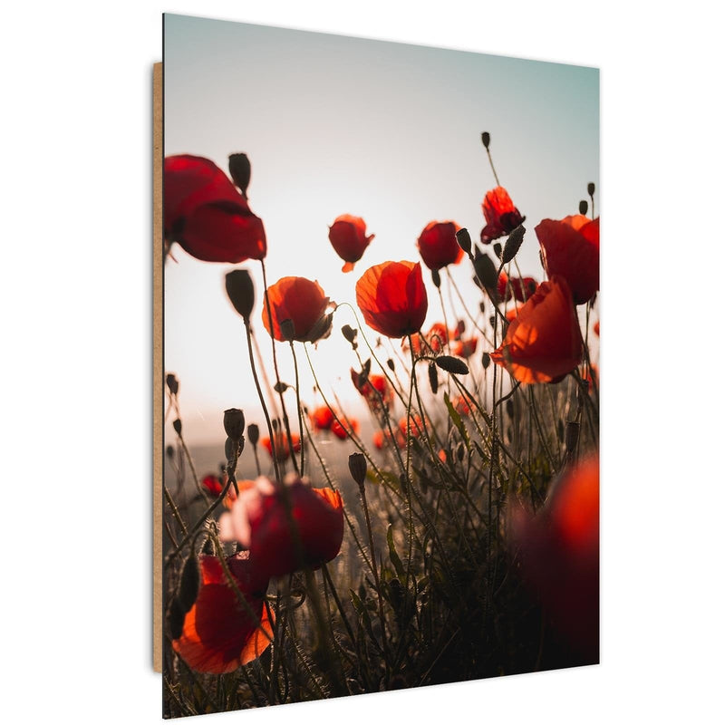 Dekoratīvais panelis - Poppies In Suns  Home Trends Deco