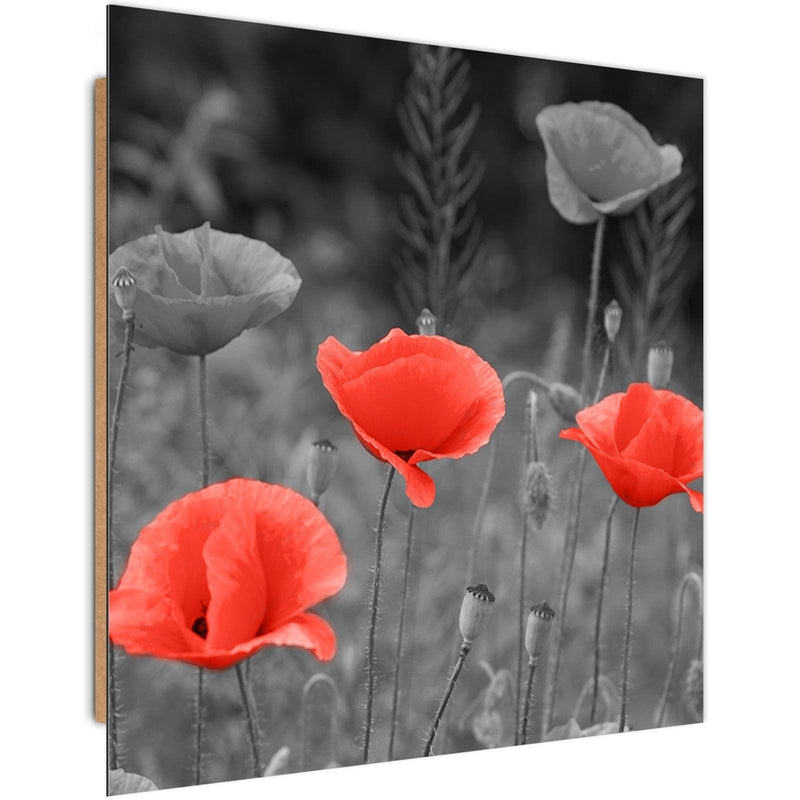 Dekoratīvais panelis - Poppies In The Meadow  Home Trends Deco