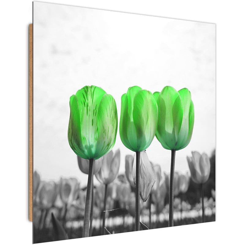 Dekoratīvais panelis - Poppies On Green Meadow  Home Trends Deco