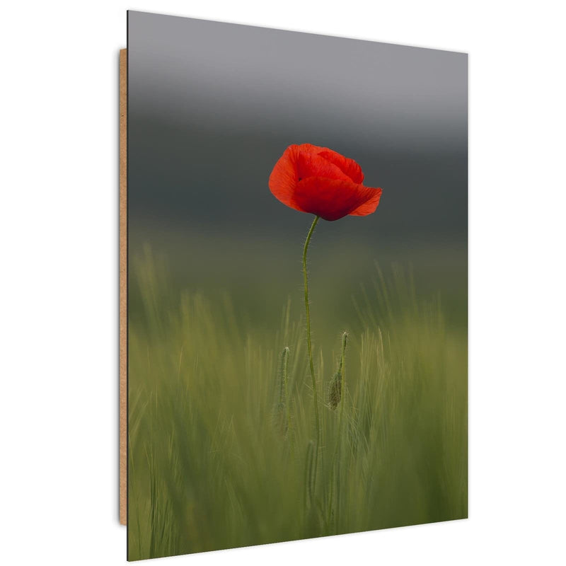 Dekoratīvais panelis - Poppy In Half  Home Trends Deco