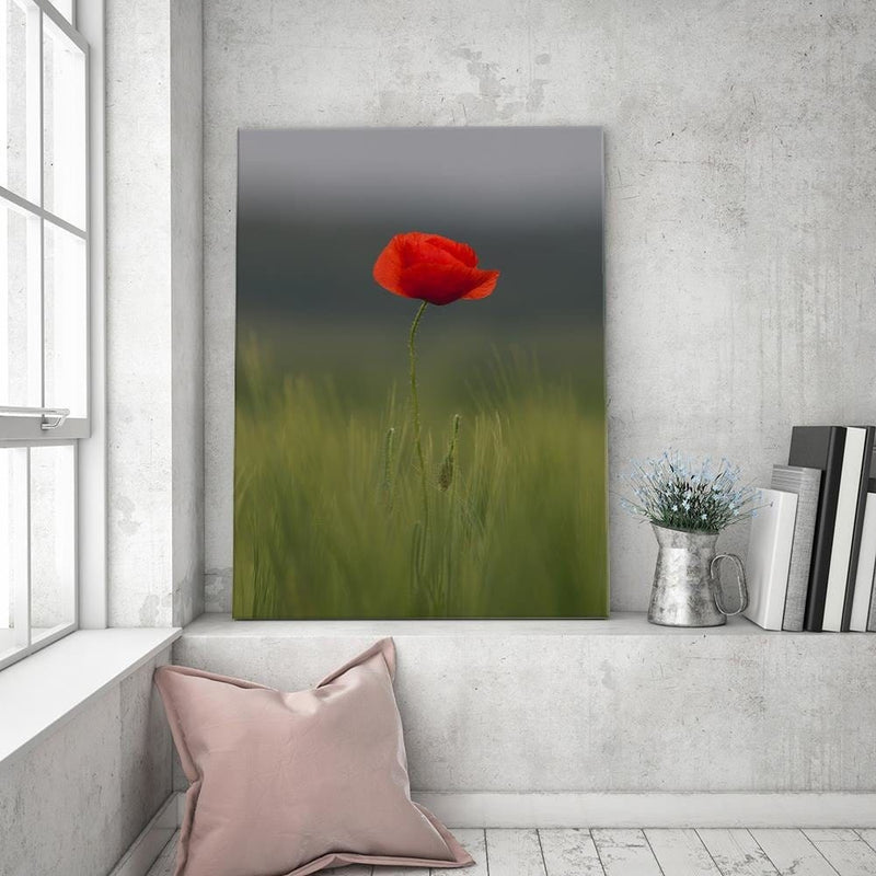 Dekoratīvais panelis - Poppy In Half  Home Trends Deco