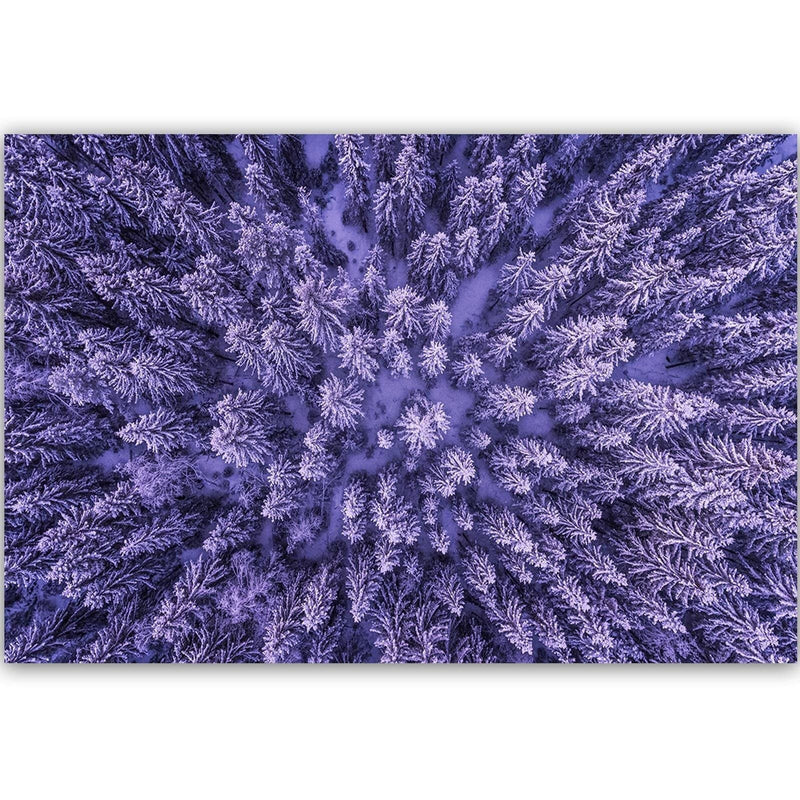 Dekoratīvais panelis - Purple Forest  Home Trends Deco