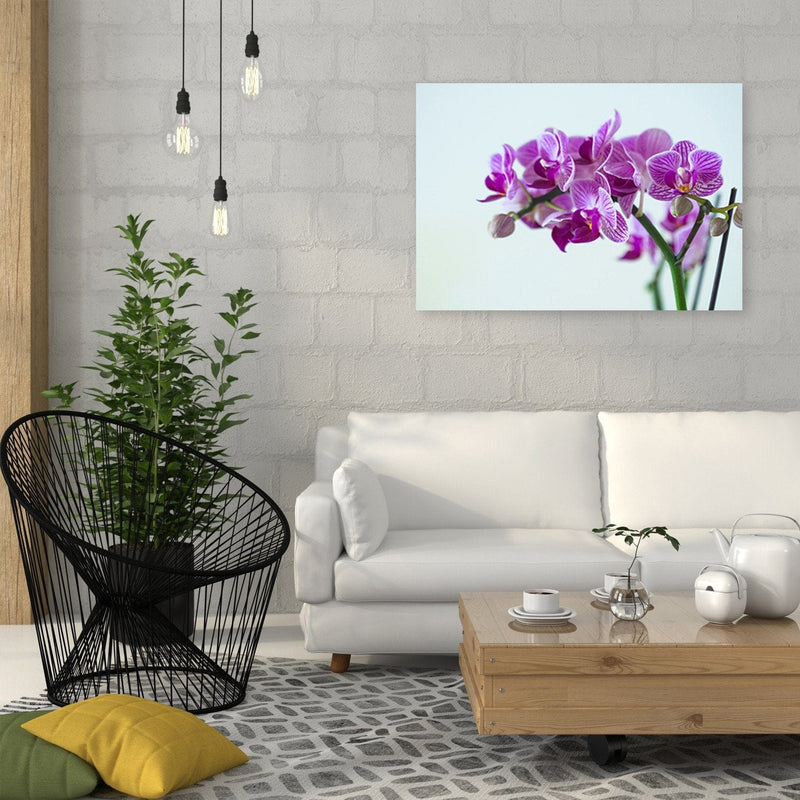 Dekoratīvais panelis - Purple Orchid  Home Trends Deco