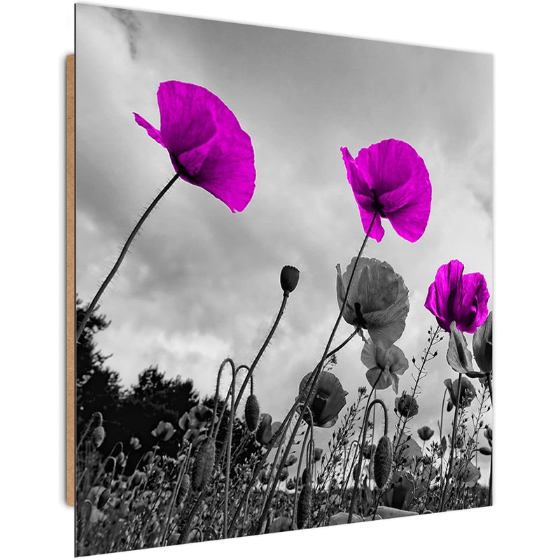 Dekoratīvais panelis - Purple Poppy Flowers  Home Trends Deco