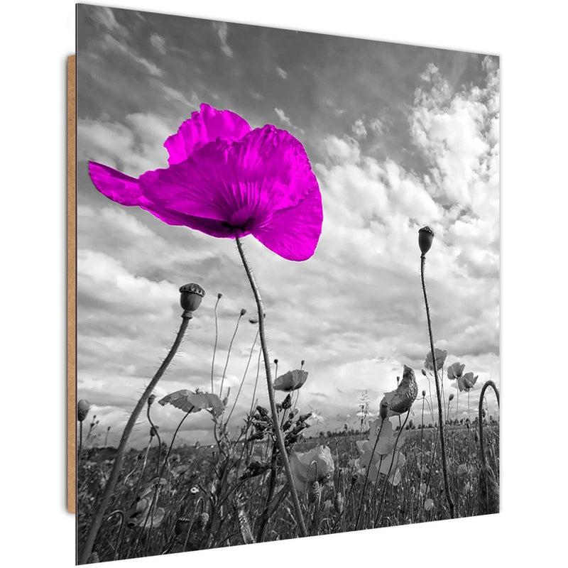 Dekoratīvais panelis - Purple Poppy  Home Trends Deco