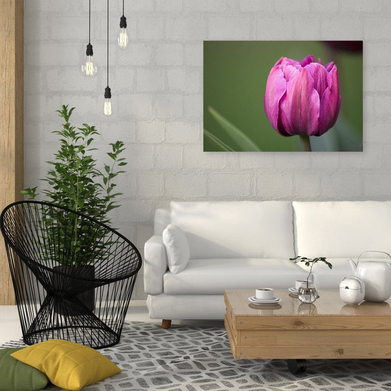 Dekoratīvais panelis - Purple Tulip  Home Trends Deco