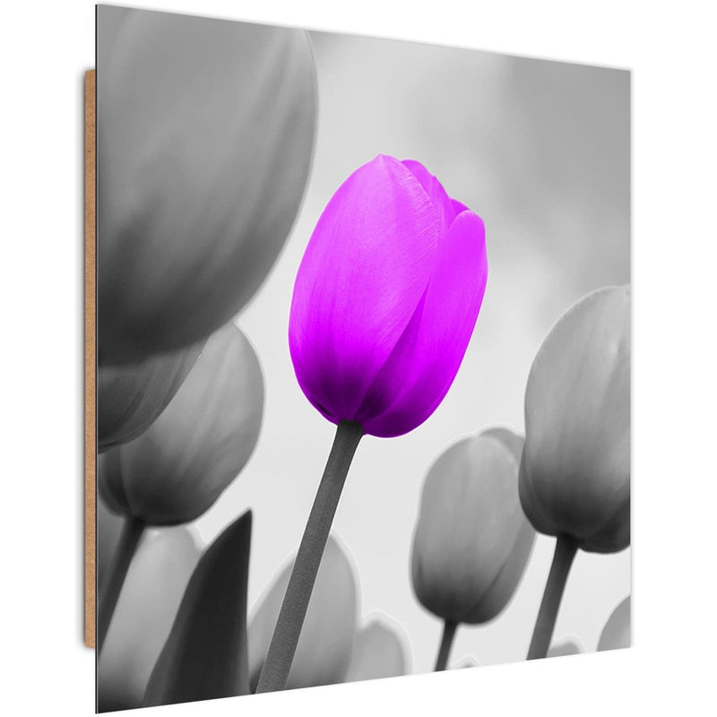 Dekoratīvais panelis - Purple Tulip In Gray  Home Trends Deco