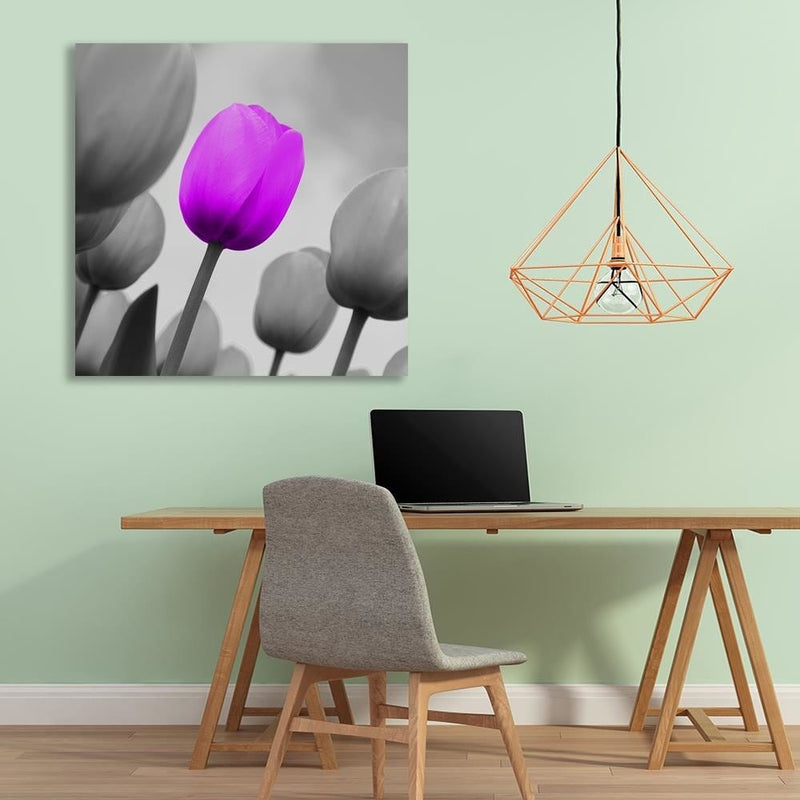 Dekoratīvais panelis - Purple Tulip In Gray  Home Trends Deco