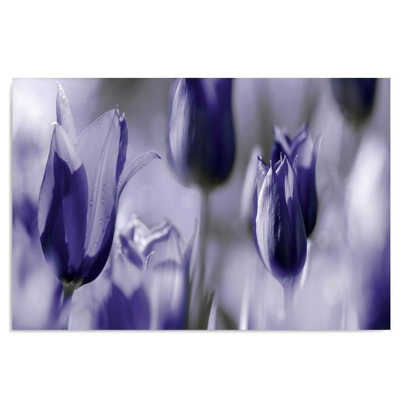 Dekoratīvais panelis - Purple Tulips  Home Trends Deco