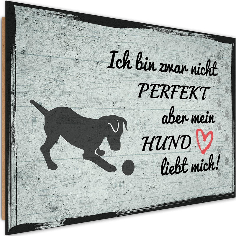 Dekoratīvais panelis - Quote Dog With Ball  Home Trends Deco