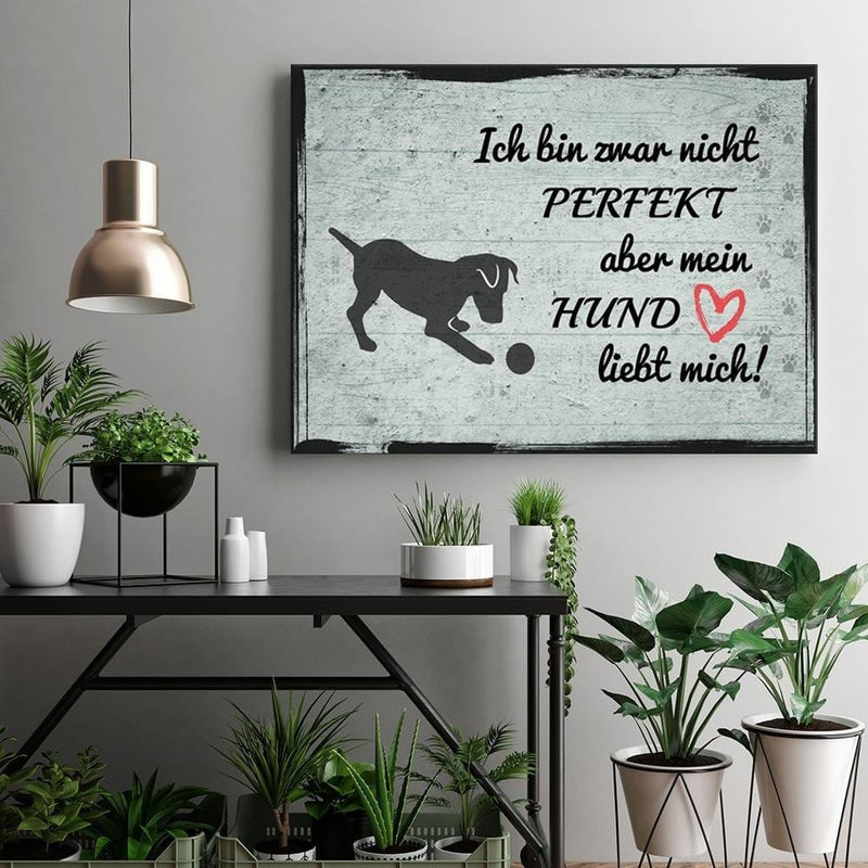 Dekoratīvais panelis - Quote Dog With Ball  Home Trends Deco