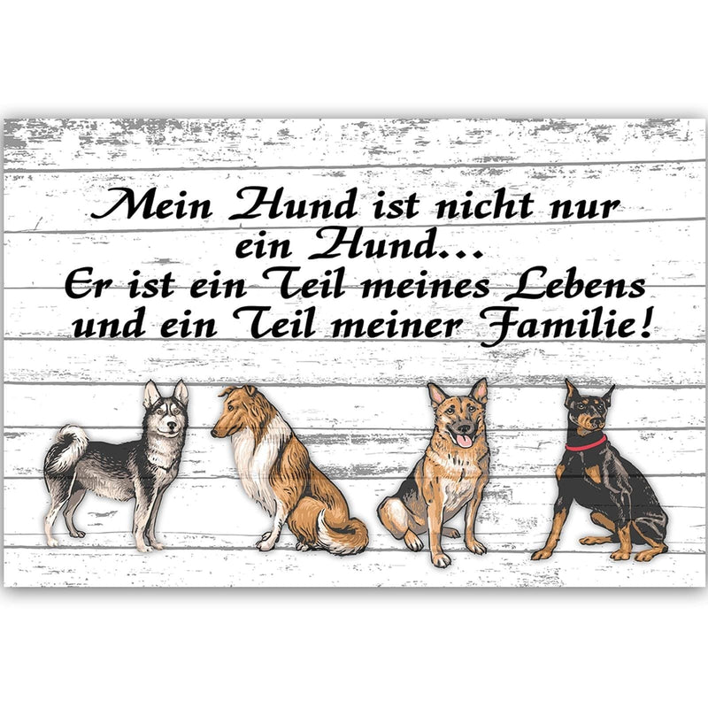 Dekoratīvais panelis - Quote Four Dogs  Home Trends Deco