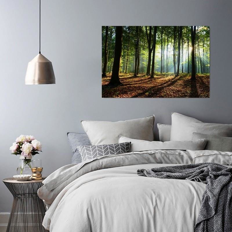 Dekoratīvais panelis - Rays Of The Sun In The Forest  Home Trends Deco