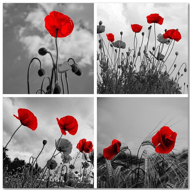 Dekoratīvais panelis - Red Poppies  Home Trends Deco