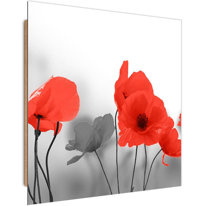 Dekoratīvais panelis - Red Poppies In Gray  Home Trends Deco