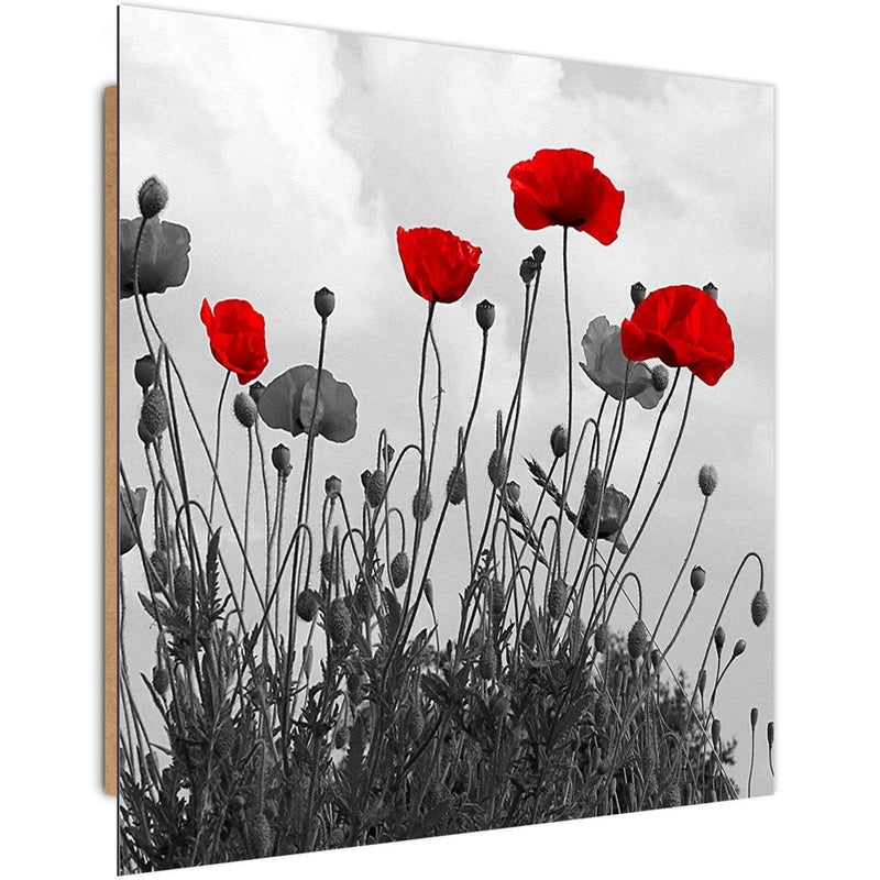 Dekoratīvais panelis - Red Poppy Flowers  Home Trends Deco