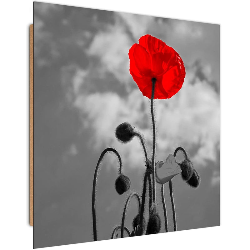 Dekoratīvais panelis - Red Poppy  Home Trends Deco