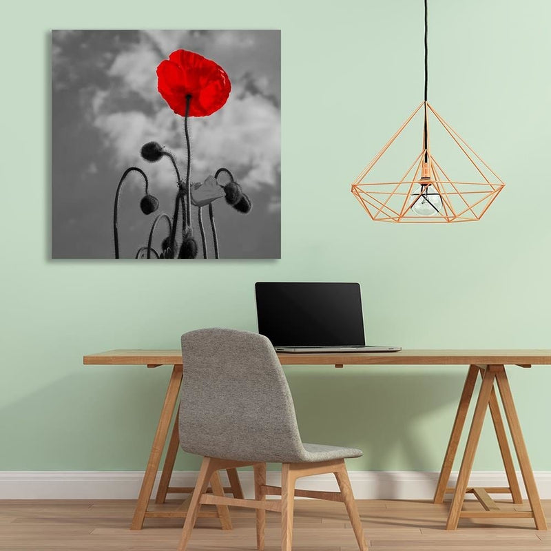 Dekoratīvais panelis - Red Poppy  Home Trends Deco