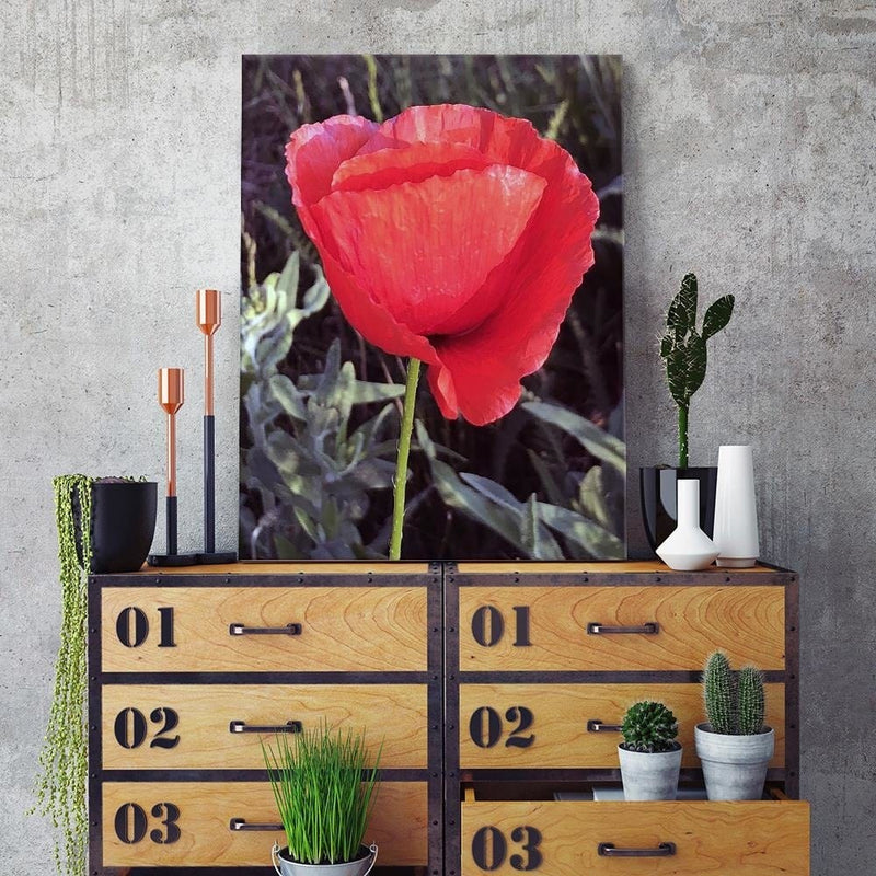 Dekoratīvais panelis - Red Poppy  Home Trends Deco