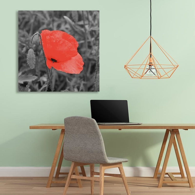 Dekoratīvais panelis - Red Poppy In Gray  Home Trends Deco