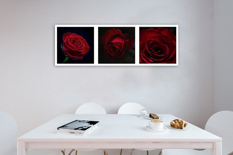 Dekoratīvais panelis - Red Roses  Home Trends Deco