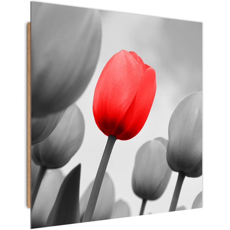 Dekoratīvais panelis - Red Tulip In Gray  Home Trends Deco