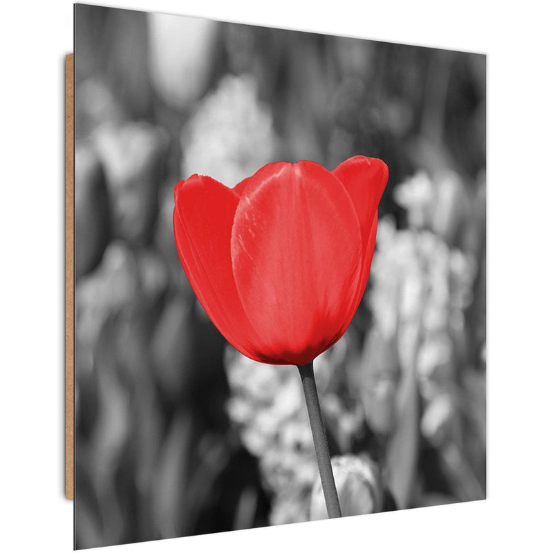 Dekoratīvais panelis - Red Tulip On The Meadow  Home Trends Deco