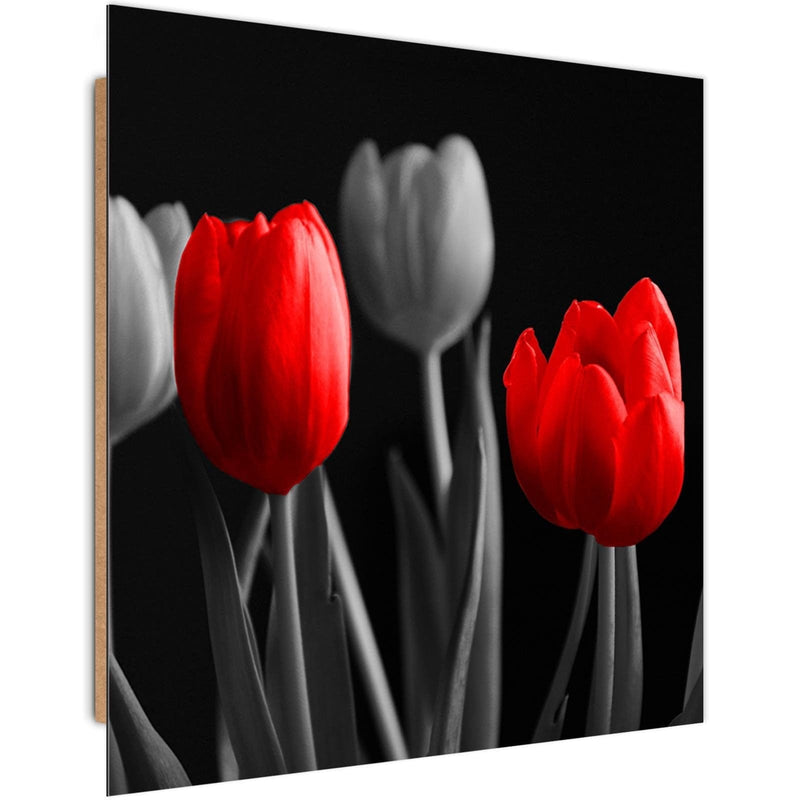 Dekoratīvais panelis - Red Tulips  Home Trends Deco