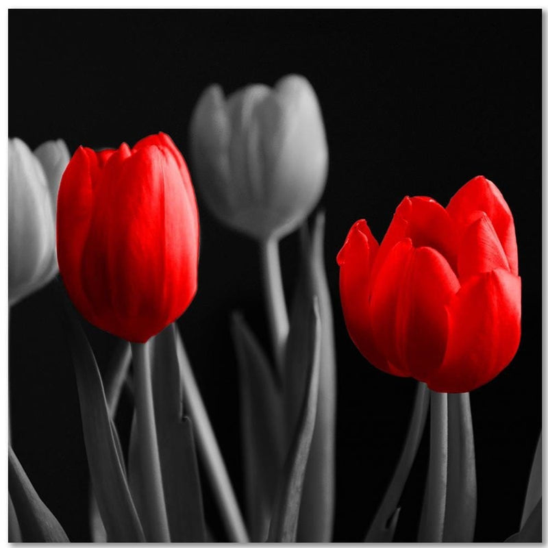 Dekoratīvais panelis - Red Tulips  Home Trends Deco