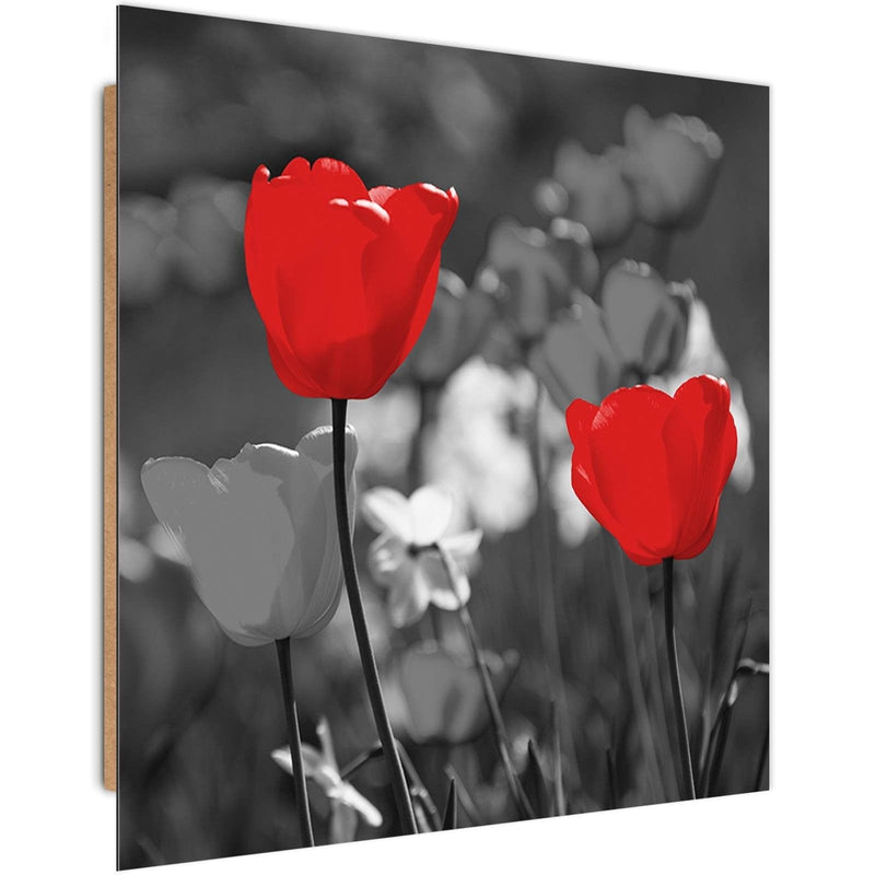 Dekoratīvais panelis - Red Tulips In Gray  Home Trends Deco