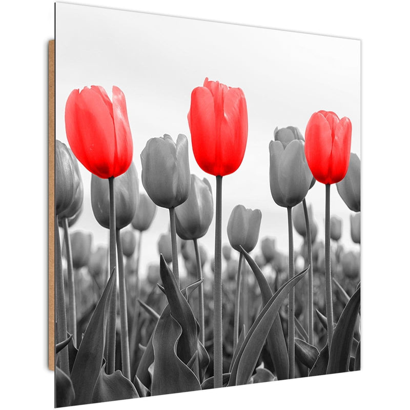 Dekoratīvais panelis - Red Tulips On The Meadow  Home Trends Deco