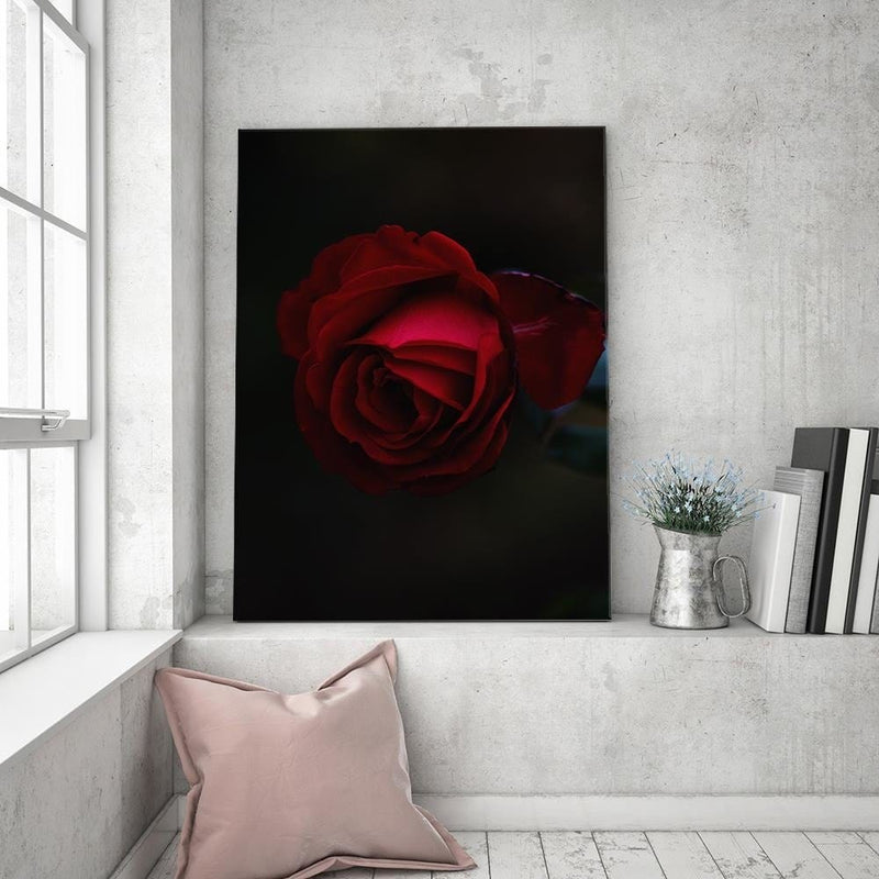 Dekoratīvais panelis - Rose On A Black Background  Home Trends Deco