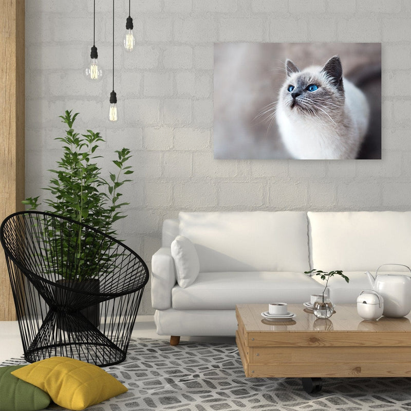 Dekoratīvais panelis - Siberian Cat  Home Trends Deco