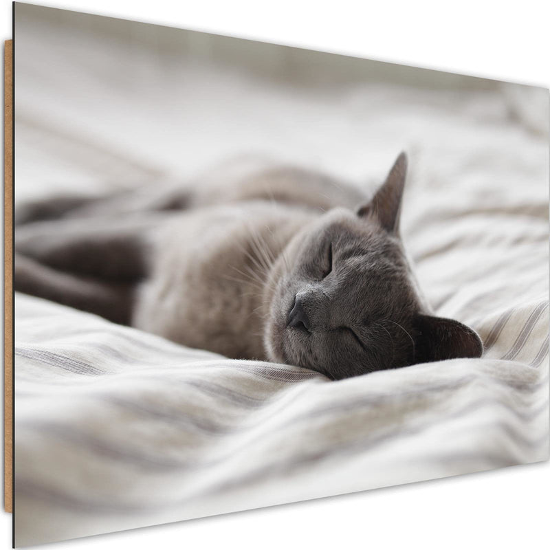 Dekoratīvais panelis - Sleepy Cat  Home Trends Deco