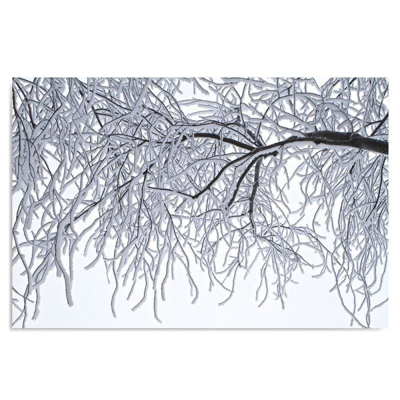 Dekoratīvais panelis - SnowCovered Branches  Home Trends Deco