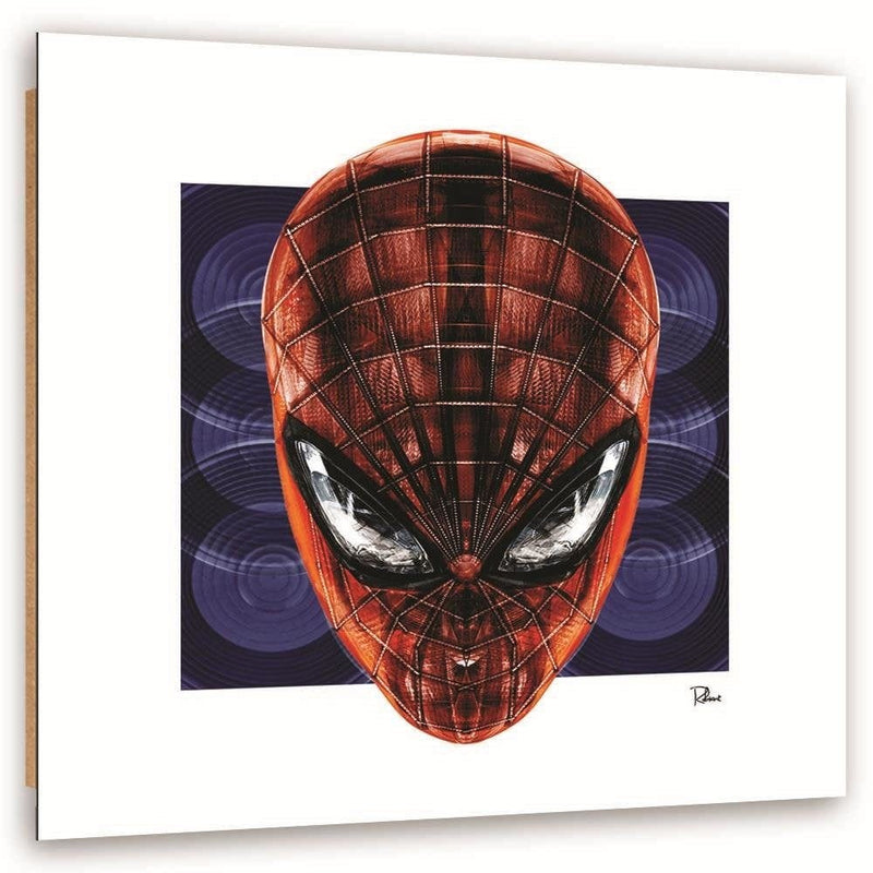 Dekoratīvais panelis - Spider Man  Home Trends Deco