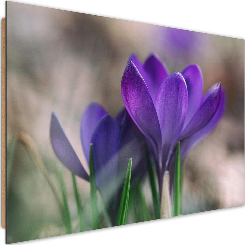 Dekoratīvais panelis - Spring Crocuses  Home Trends Deco