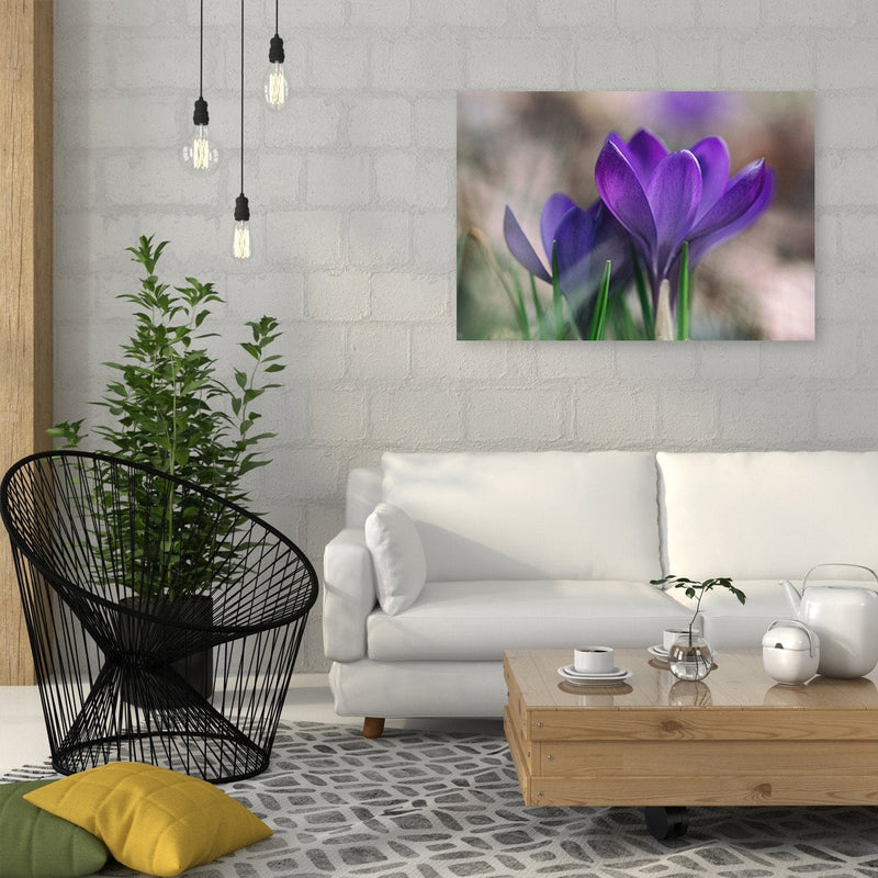 Dekoratīvais panelis - Spring Crocuses  Home Trends Deco