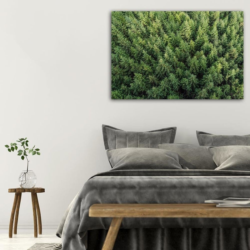 Dekoratīvais panelis - Spruce Forest  Home Trends Deco