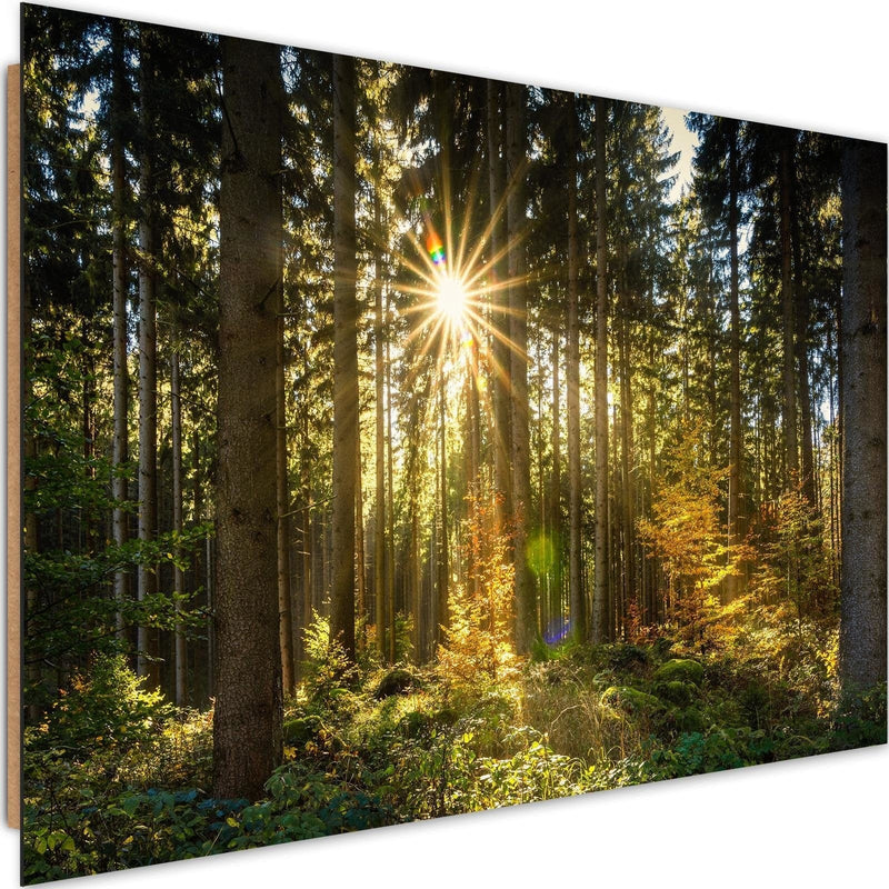 Dekoratīvais panelis - Sun In The Forest  Home Trends Deco