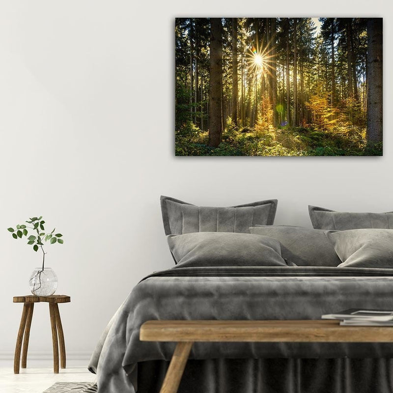 Dekoratīvais panelis - Sun In The Forest  Home Trends Deco