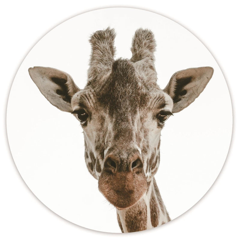 Dekoratīvais panelis - The head of the giraffe   Home Trends Deco