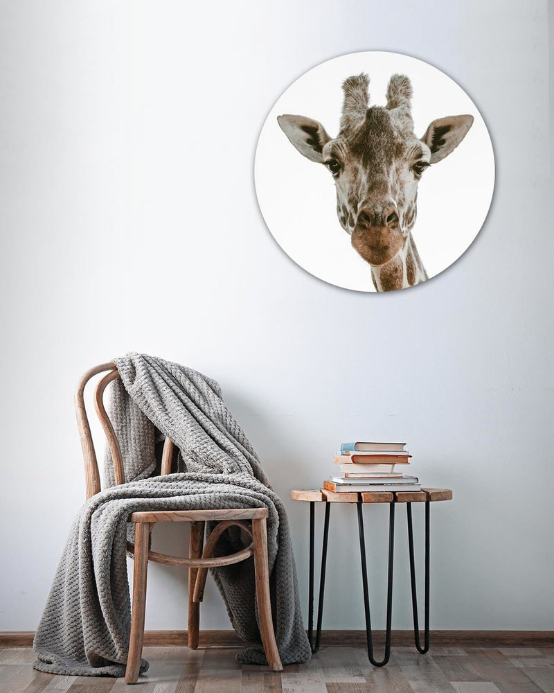 Dekoratīvais panelis - The head of the giraffe   Home Trends Deco